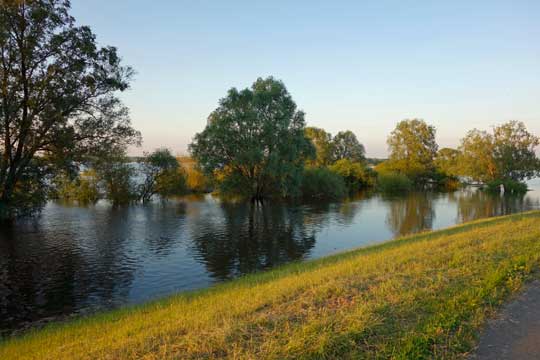 Elbe Hochwasser