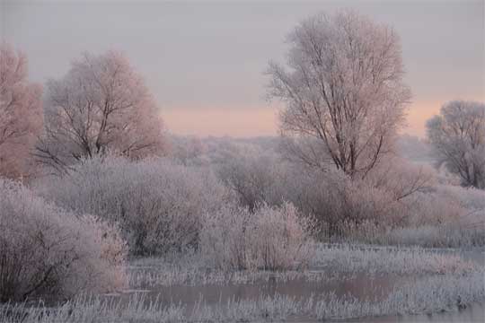 Umgebung im Winter