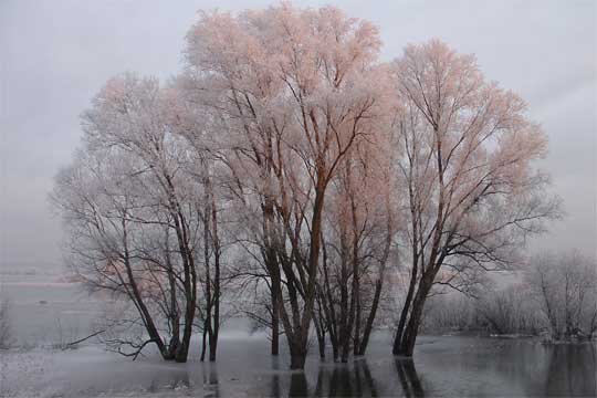 Umgebung im Winter